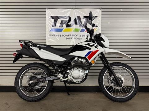 2025 Honda XR150L in Eugene, Oregon - Photo 1