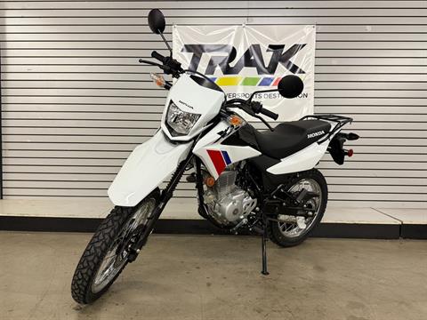 2025 Honda XR150L in Eugene, Oregon - Photo 4