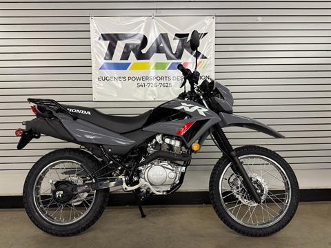 2025 Honda XR150L in Eugene, Oregon - Photo 1