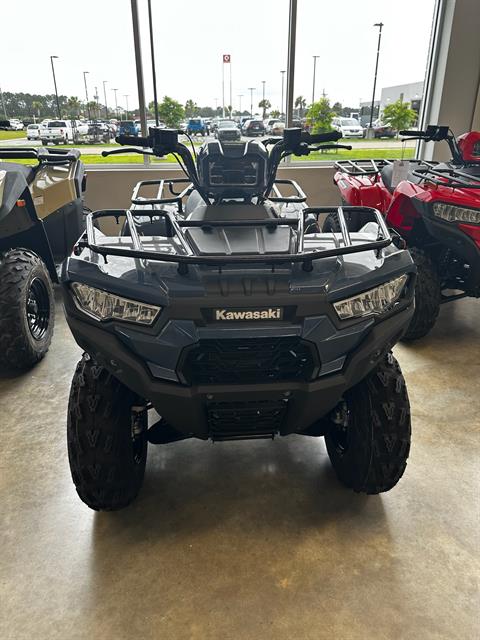2026 Kawasaki Brute Force 300