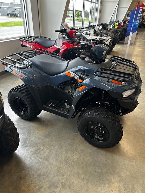2026 Kawasaki Brute Force 300