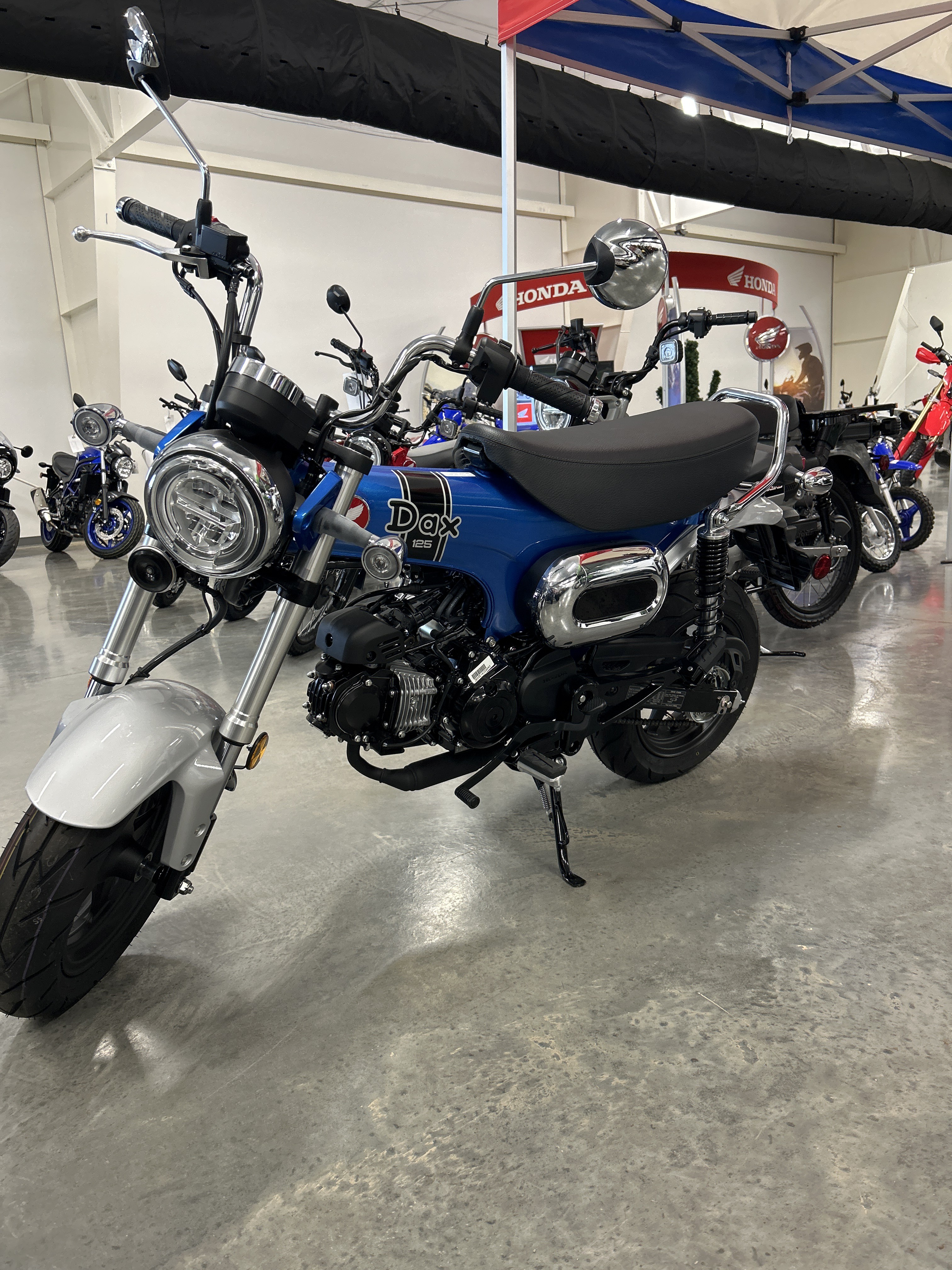 2025 Honda Dax 125 2
