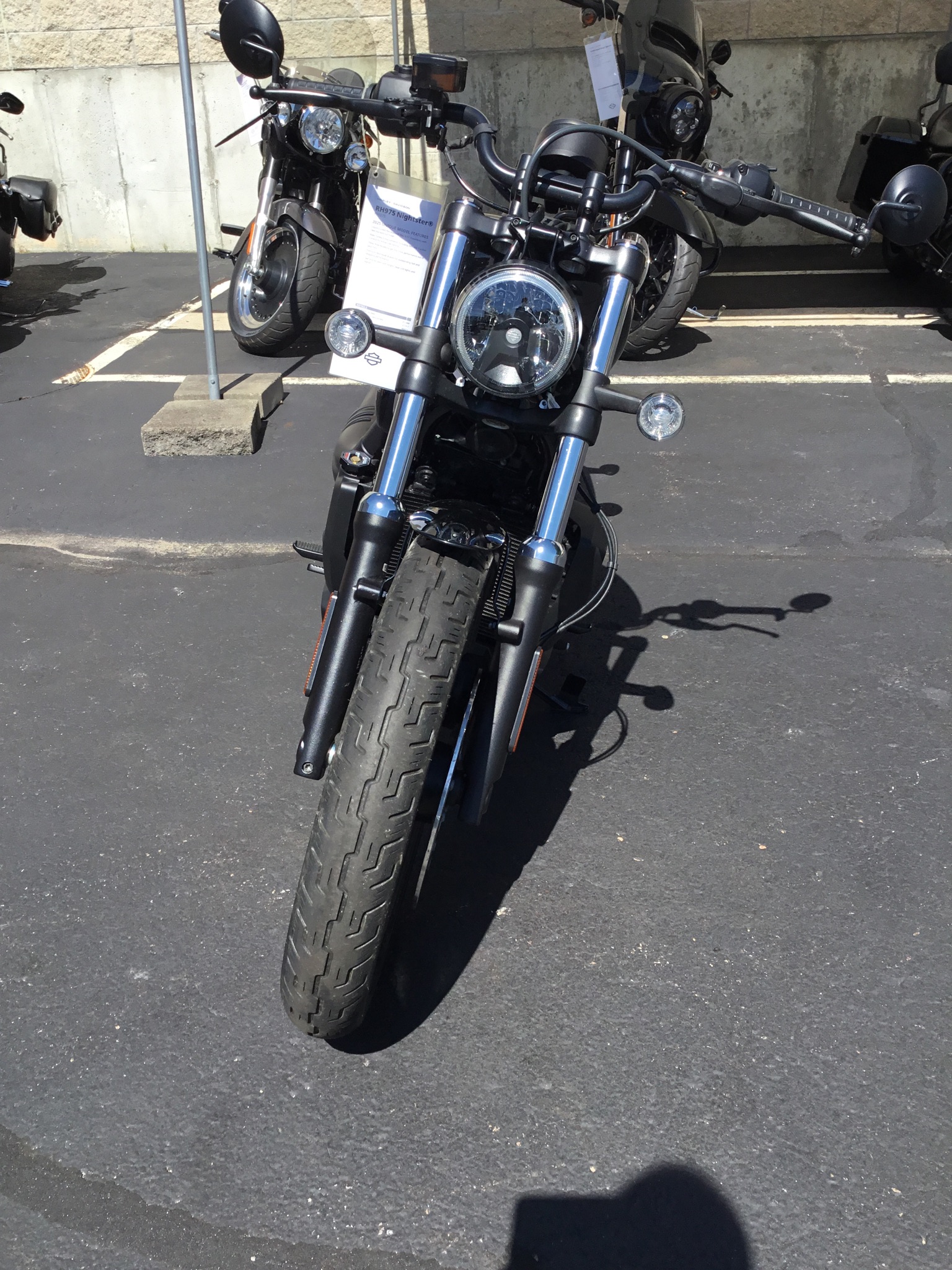 2025 Harley-Davidson Nightster® 2