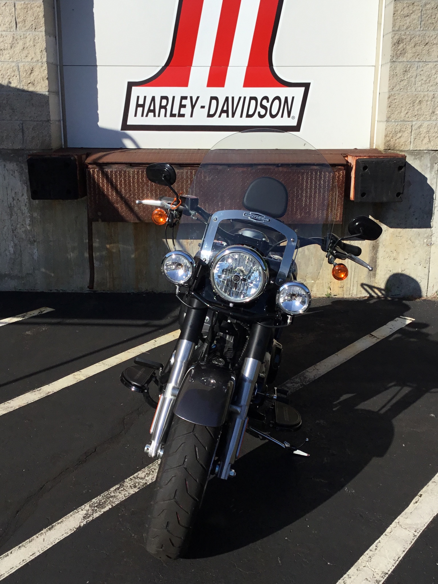 2015 Harley-Davidson Fat Boy® Lo 2