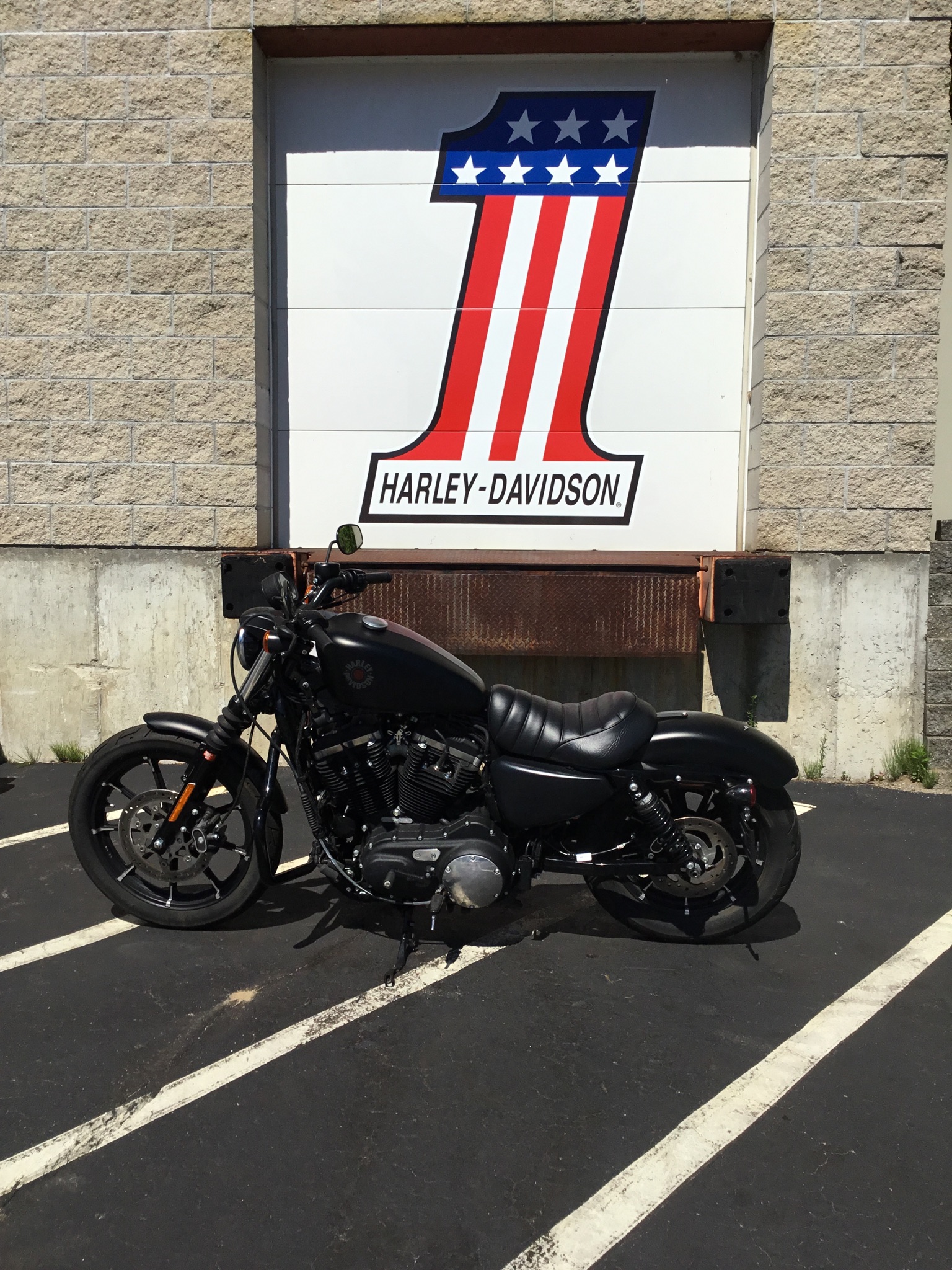 2021 Harley-Davidson Iron 883 3