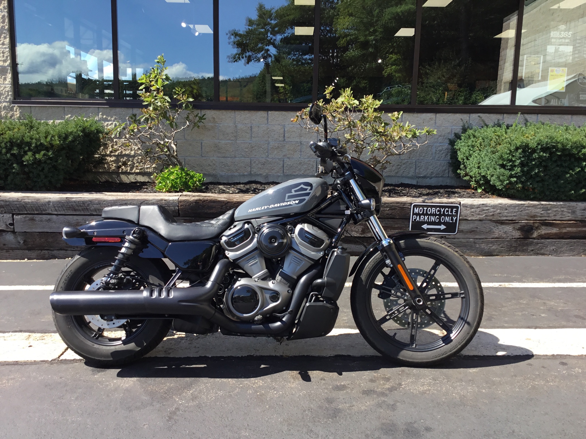 2022 Nightster
