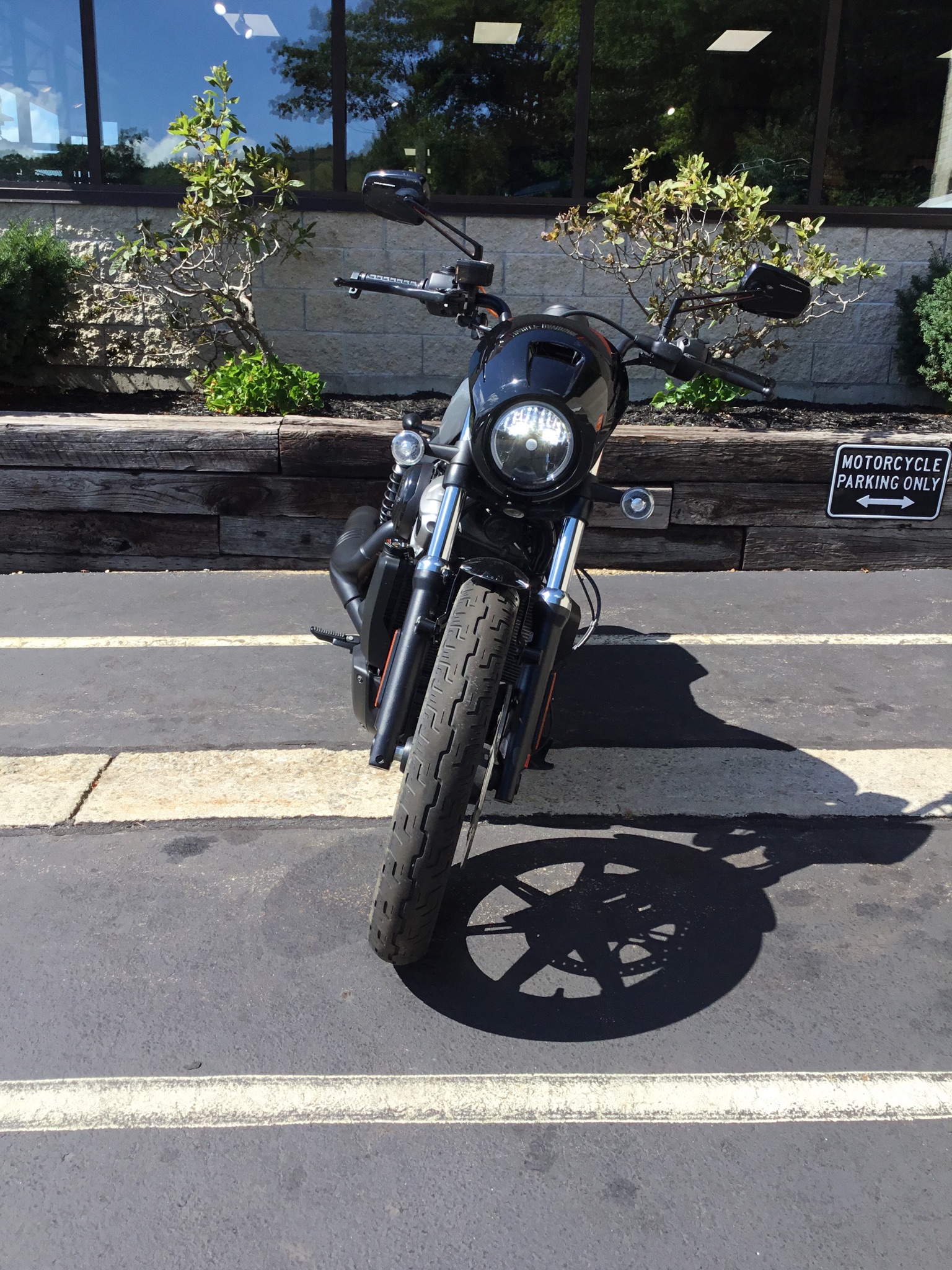 2022 Harley-Davidson Nightster 2