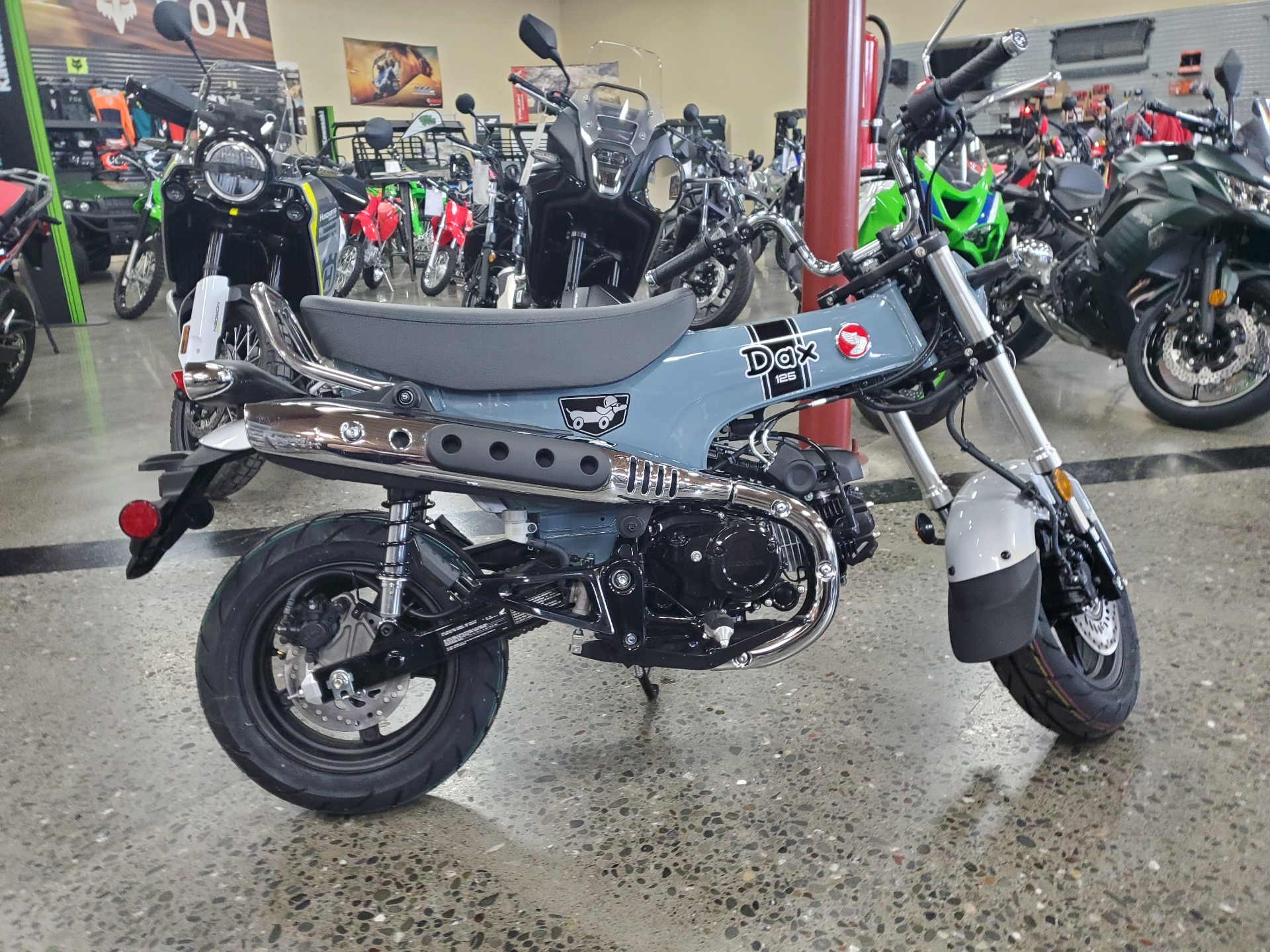 New 2025 Honda Dax 125 | Motorcycles in Eureka CA | N/A Pearl Gray