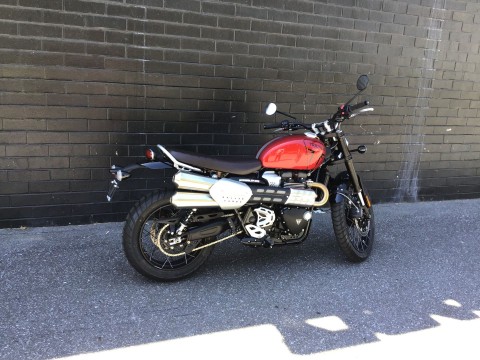 2025 Triumph Scrambler 1200 X