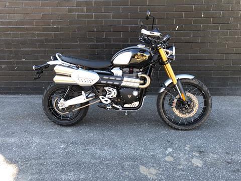Triumph Scrambler For Sale Near Me Custom Triumph Triumph