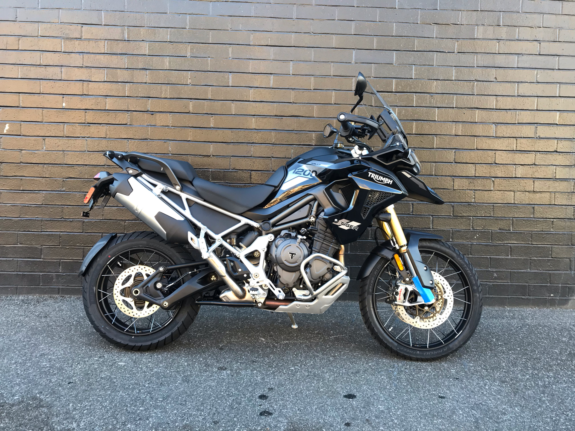 New 2025 Triumph Tiger 1200 Rally Pro Motorcycles in San Jose, CA