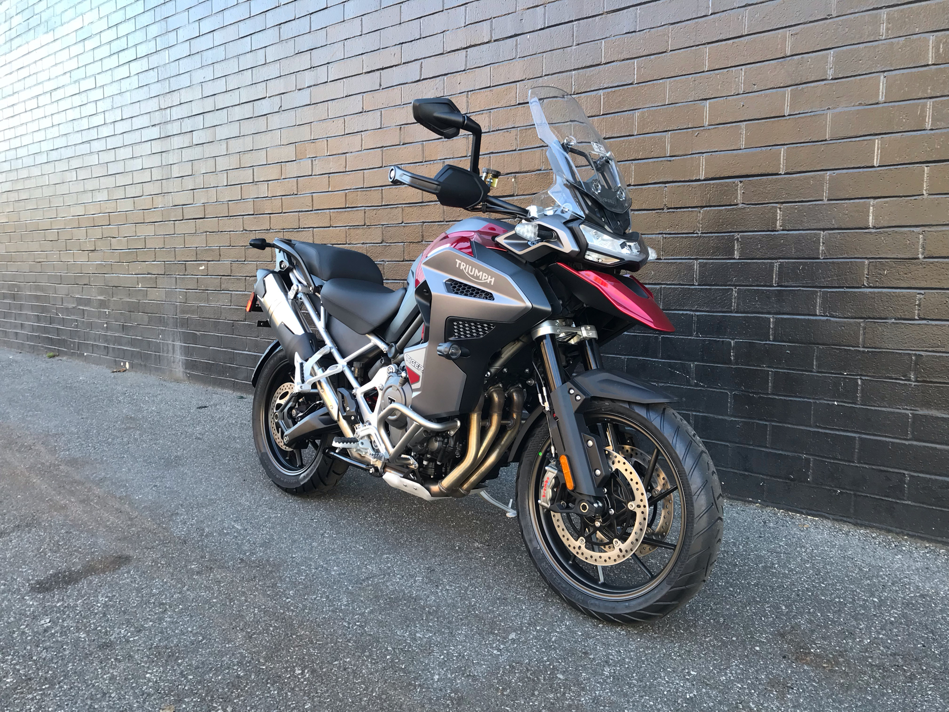 Explorer Motorcycle New 2025 Triumph Tiger 1200 GT Explorer Motorcycles in San Jose, CA ...