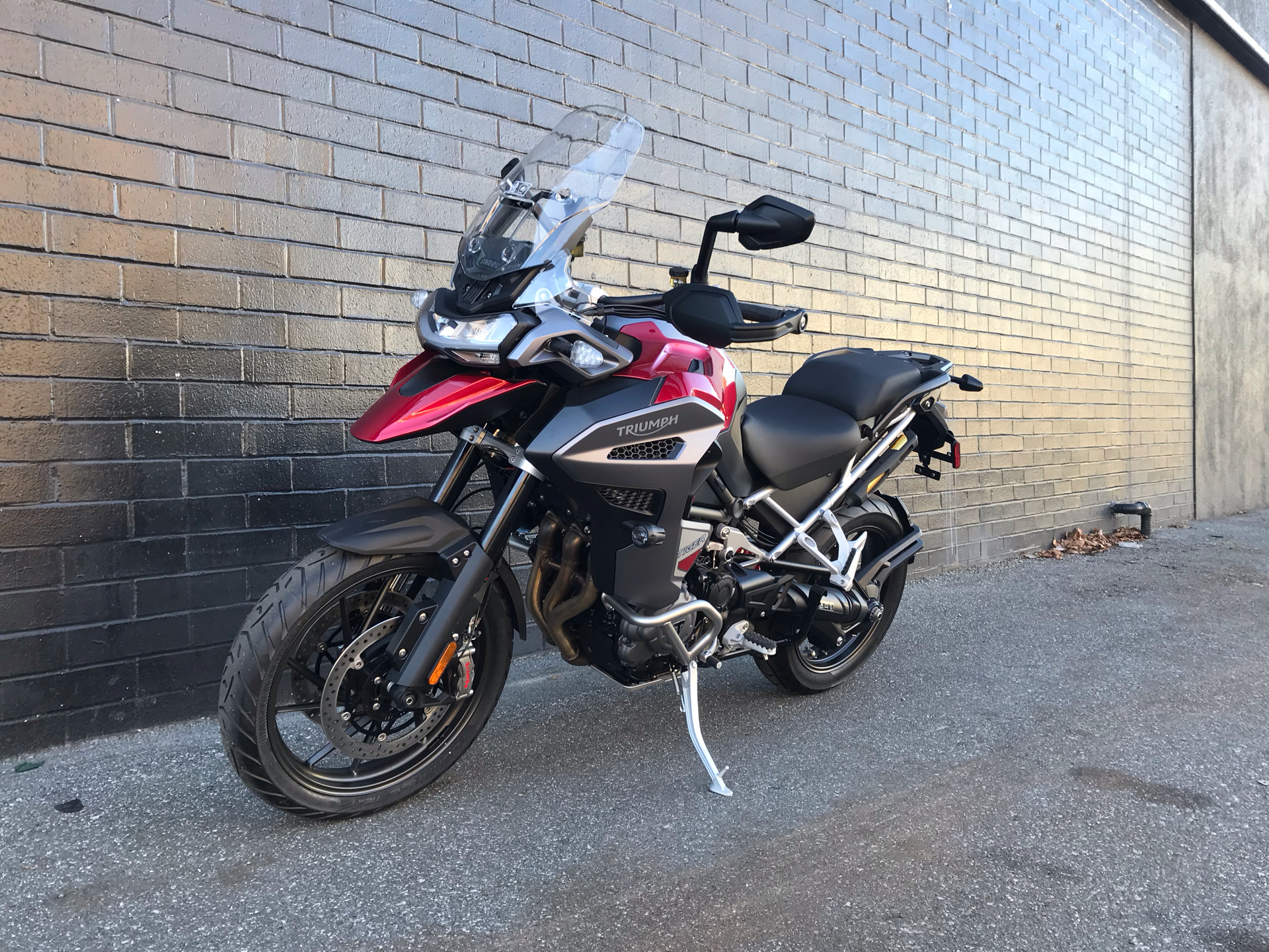 Explorer Motorcycle New 2025 Triumph Tiger 1200 GT Explorer Motorcycles in San Jose, CA ...