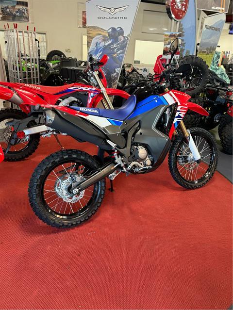New 2025 Honda CRF300L Rally ABS, Florence SC | Specs, Price