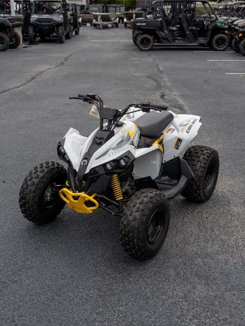 2026 Can-Am Renegade 110 EFI