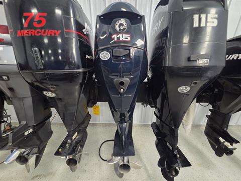 Evinrude E115DPLSCR in Kaukauna, Wisconsin