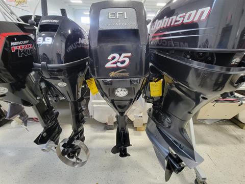Mercury Marine 25 EL in Kaukauna, Wisconsin