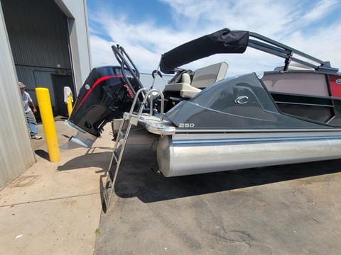 2019 Crest Caribbean 250 SLS in Kaukauna, Wisconsin - Photo 7