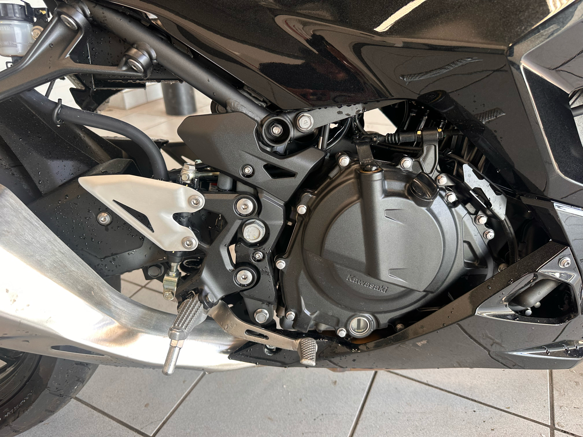 2024 Kawasaki Ninja 500 ABS in Kaukauna, Wisconsin - Photo 9