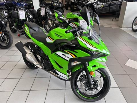 New 2025 Kawasaki Ninja® 500 KRT Edition | Motorcycles in Kaukauna