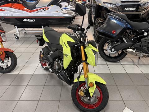 2026 Kawasaki Z125 Pro