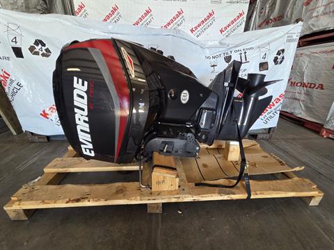Evinrude E-TEC Pontoon 115 HP in Kaukauna, Wisconsin