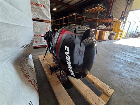 Evinrude E-TEC Pontoon 115 HP in Kaukauna, Wisconsin - Photo 3