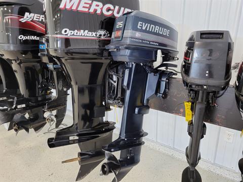 Evinrude E25ELCEB in Kaukauna, Wisconsin - Photo 2