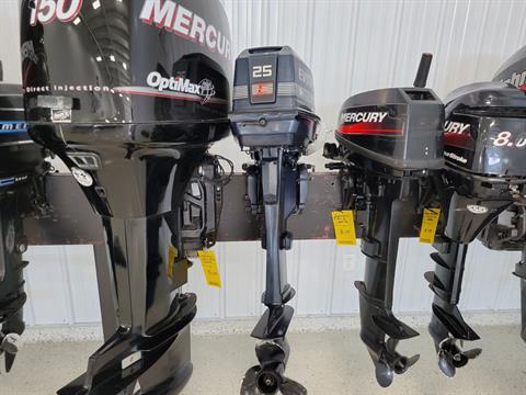 Evinrude E25ELCEB in Kaukauna, Wisconsin - Photo 3