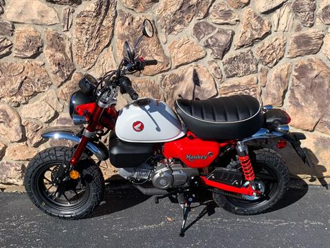 New 2025 Honda Monkey ABS Motorcycles in Aurora, IL | Stock