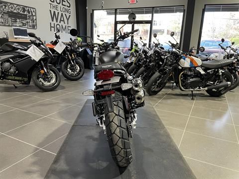 2026 Triumph Scrambler 900 4