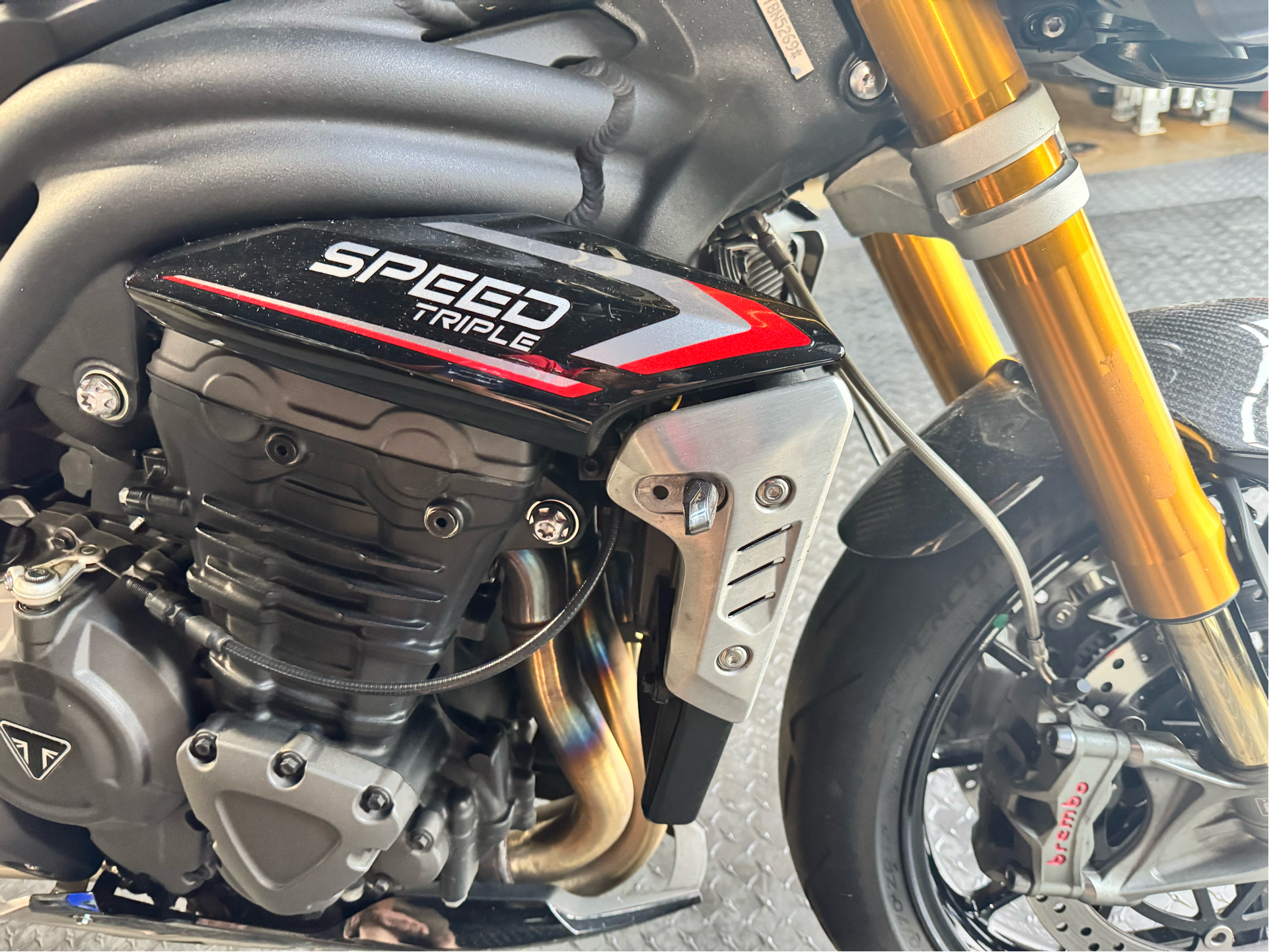 2024 Triumph Speed photo 8