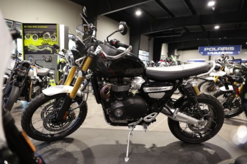 2025 Triumph Scrambler 1200 XE