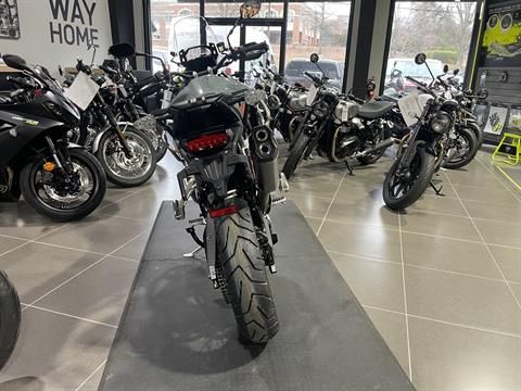 2026 Triumph Tiger photo 4