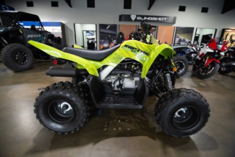 2026 Yamaha Raptor 110