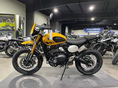 2026 Triumph Scrambler 400 XC 3