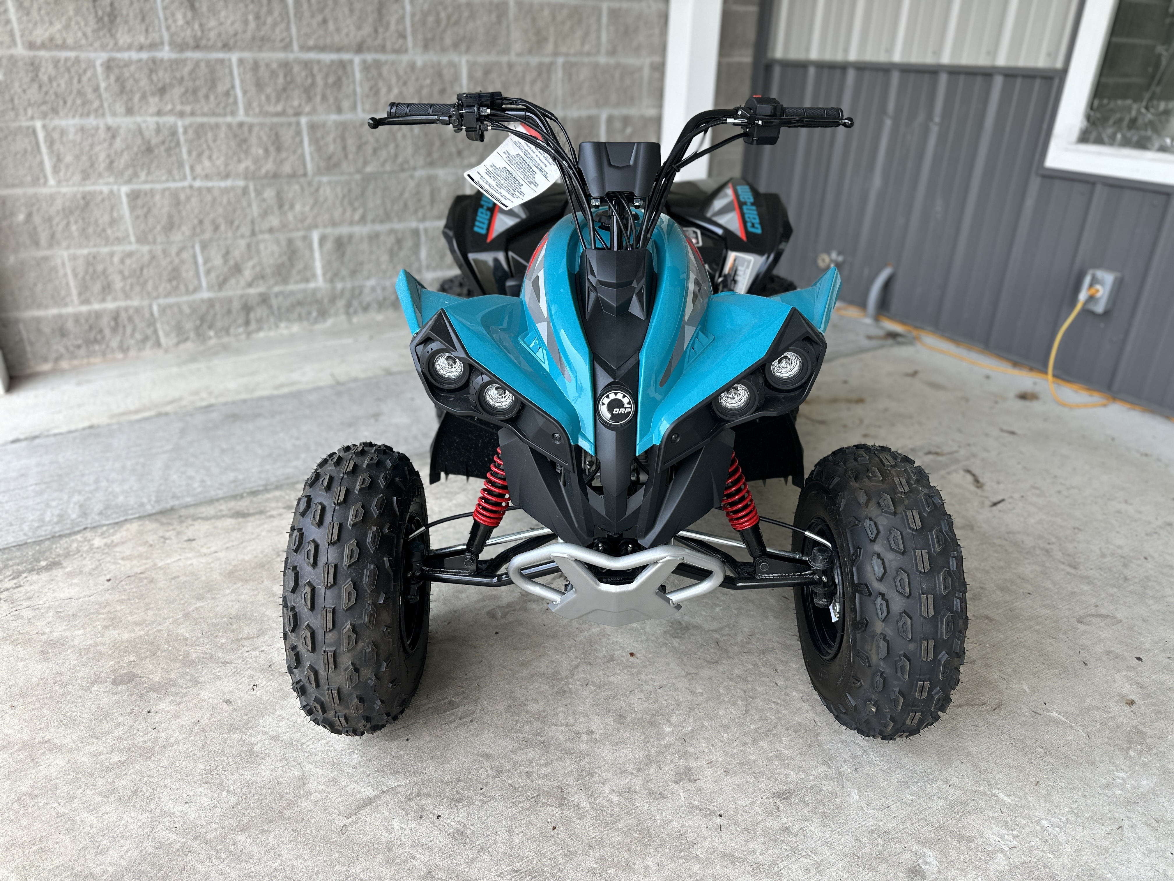 2026 Renegade 110 EFI