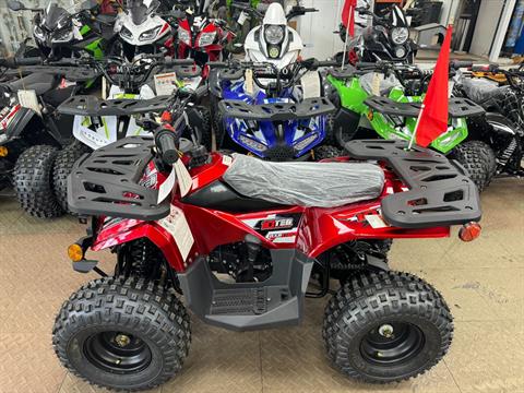 2024 Changying Ten10 CY110ATV in Forest View, Illinois - Photo 4