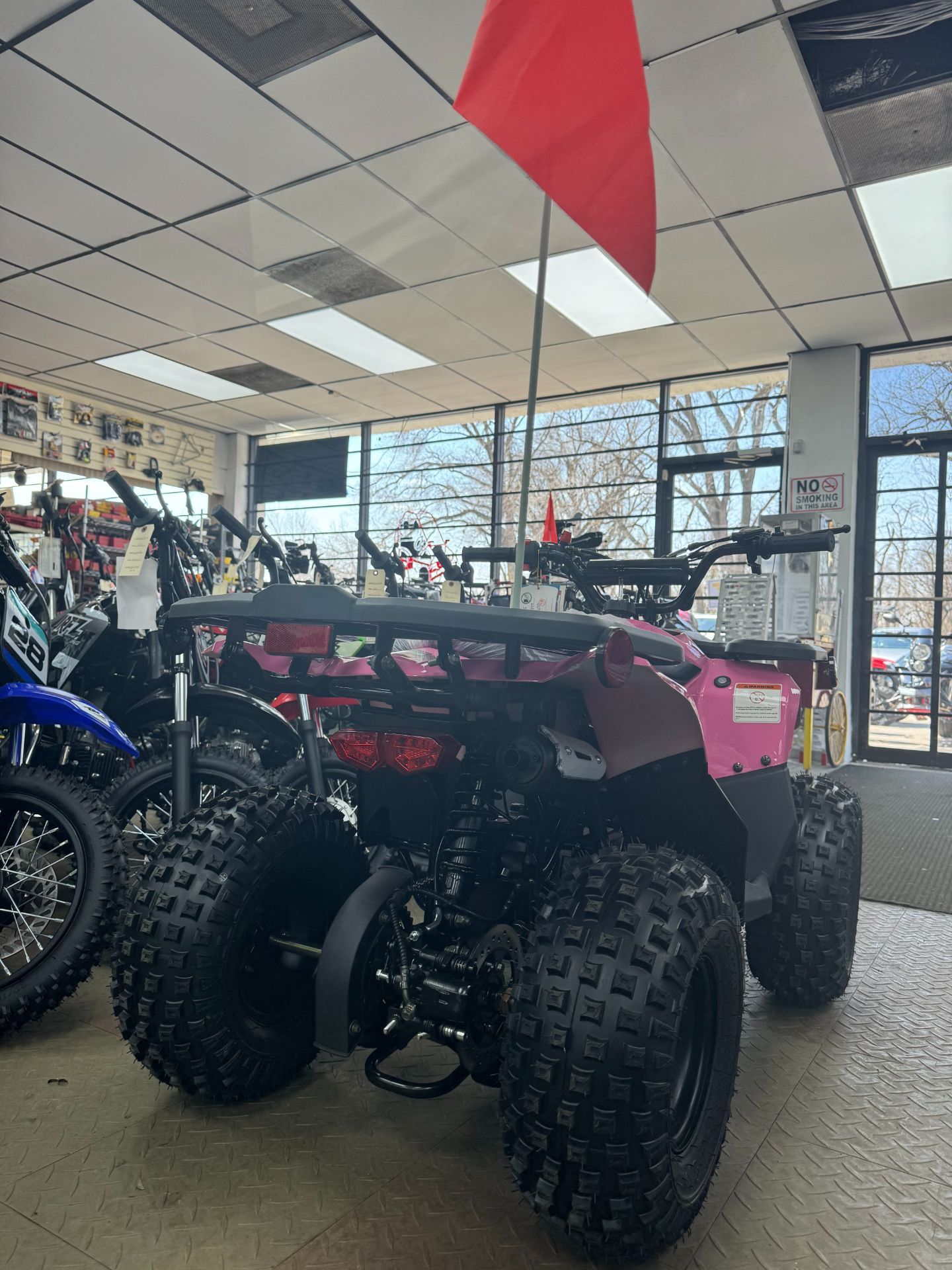 2024 Changying Ten10 CY110ATV in Forest View, Illinois - Photo 7