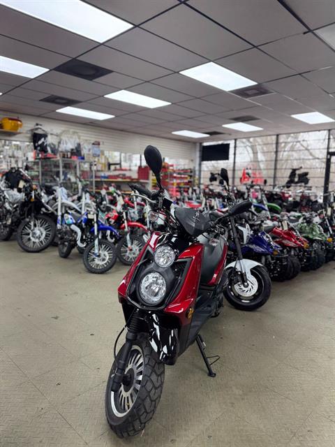 2021 Riya Peace Sports Explorer 150cc in Forest View, Illinois - Photo 1