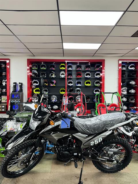 2024 Bashan Raven BSR 250cc in Forest View, Illinois - Photo 3