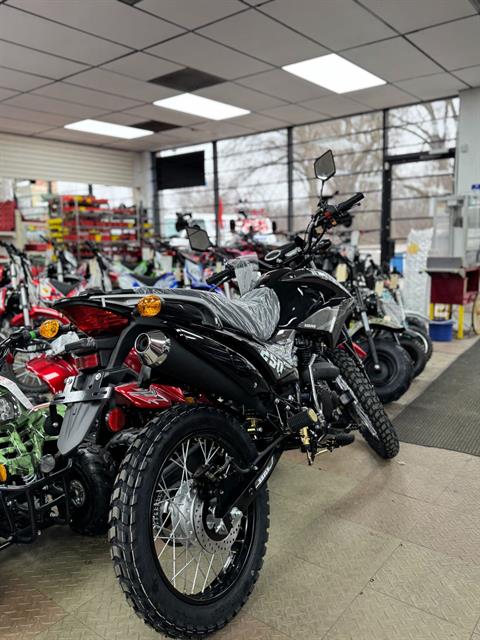 2024 Bashan Raven BSR 250cc in Forest View, Illinois - Photo 5