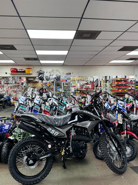 2024 Bashan Raven BSR 250cc in Forest View, Illinois - Photo 6