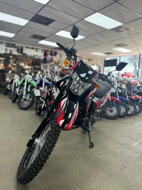 2024 Bashan Raven BSR 250cc in Forest View, Illinois - Photo 7