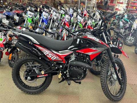 2024 Bashan Raven BSR 250cc in Forest View, Illinois - Photo 9