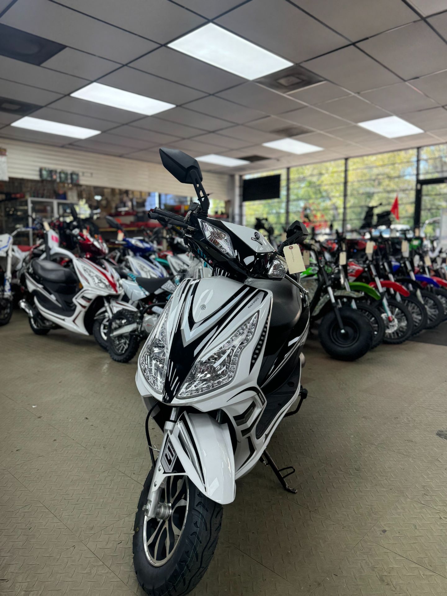 2024 Riya Peace Sports 50cc in Forest View, Illinois - Photo 1
