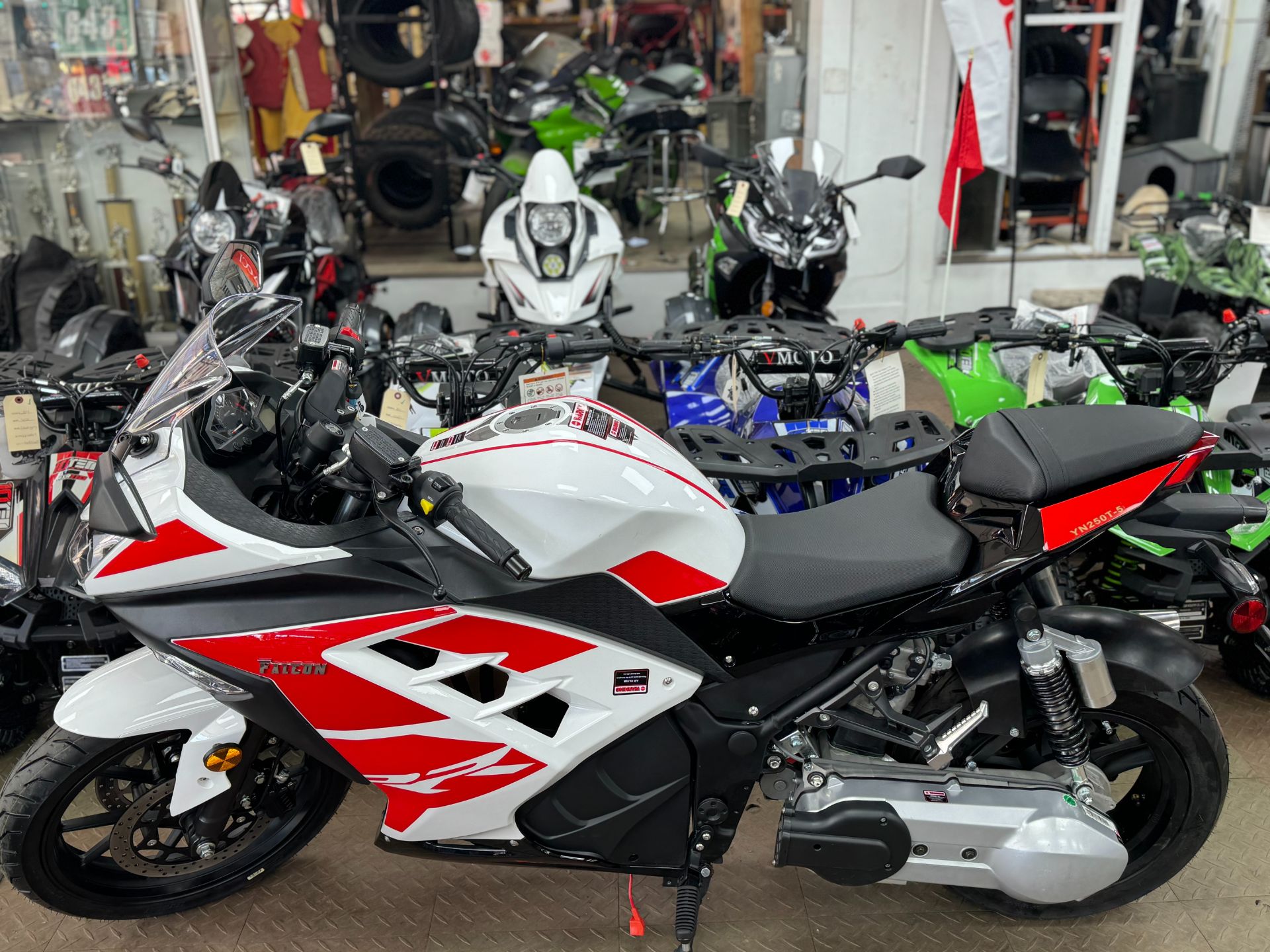 2025 Yongfu Falcon 250cc in Forest View, Illinois - Photo 20