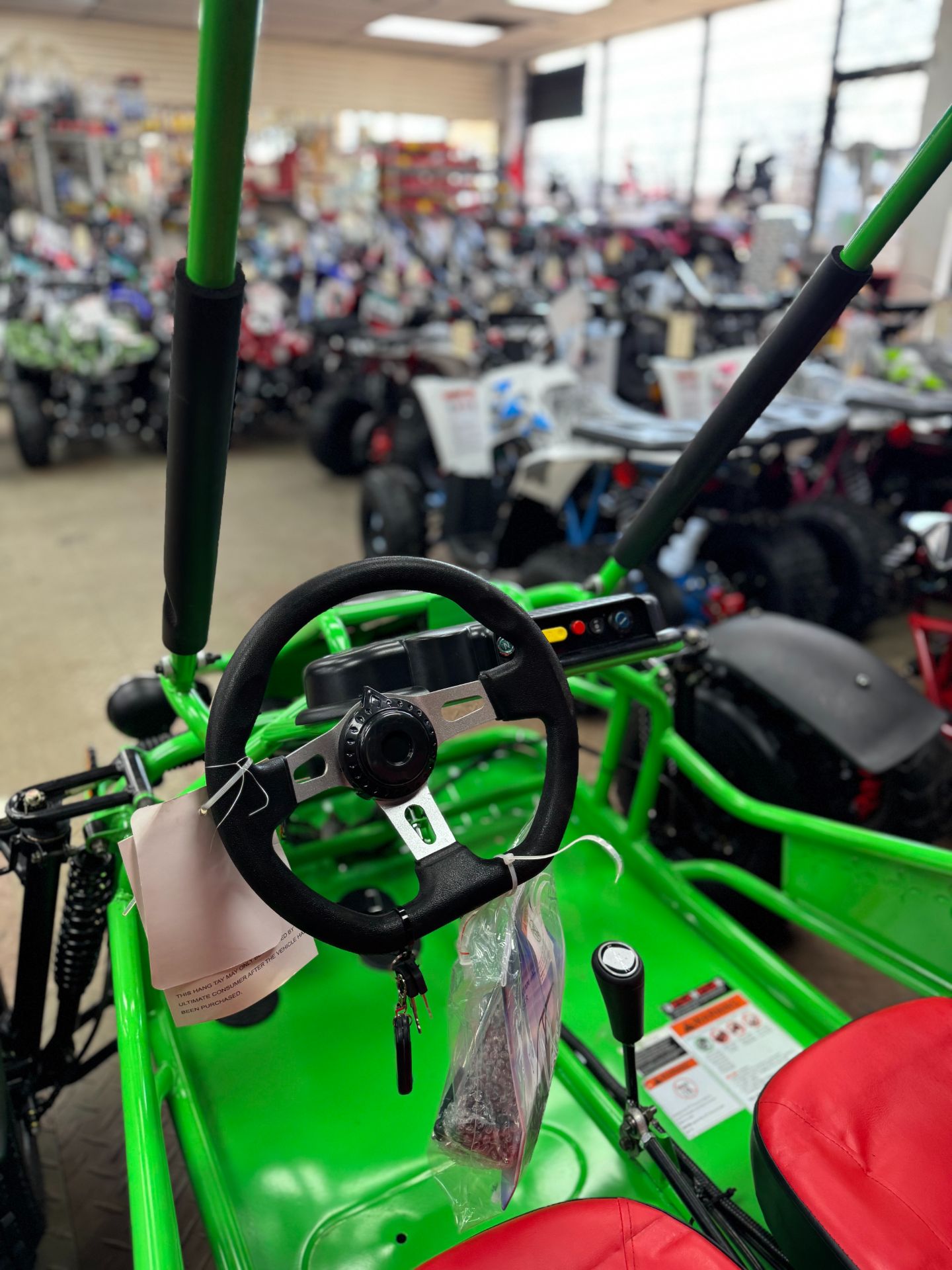 2024 QIYE Coolster 125cc in Forest View, Illinois - Photo 18