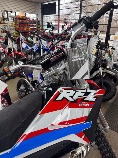 2024 APOLLO Thunder 250cc in Forest View, Illinois - Photo 5