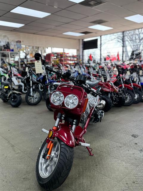2022 Icebear 150CC MADDOG in Forest View, Illinois - Photo 1